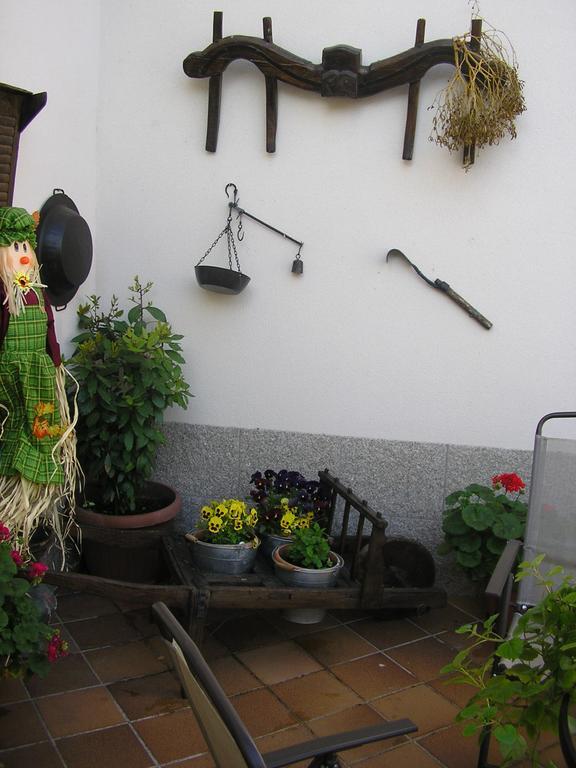 Casa De La Paca Bed & Breakfast Coca Ngoại thất bức ảnh