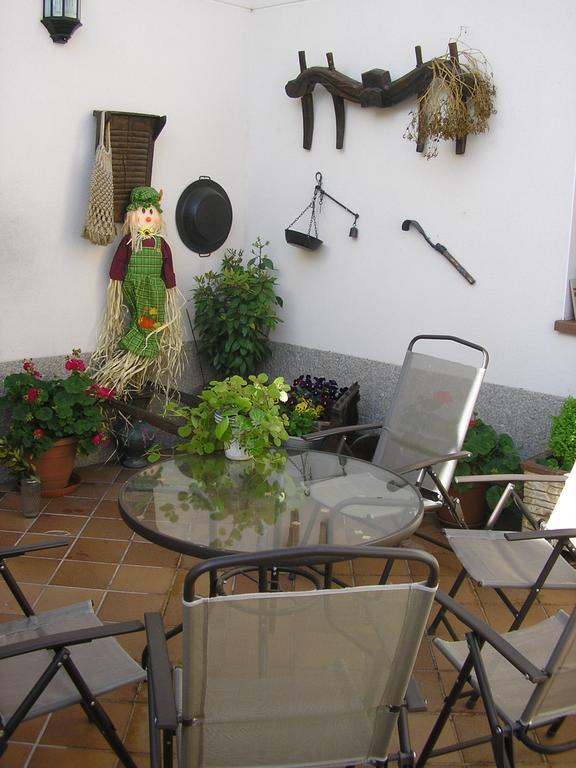 Casa De La Paca Bed & Breakfast Coca Ngoại thất bức ảnh